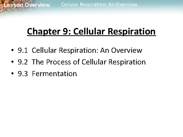 Lesson Overview Cellular Respiration: An Overview Chapter 9: Cellular Respiration • 9. 1 Cellular