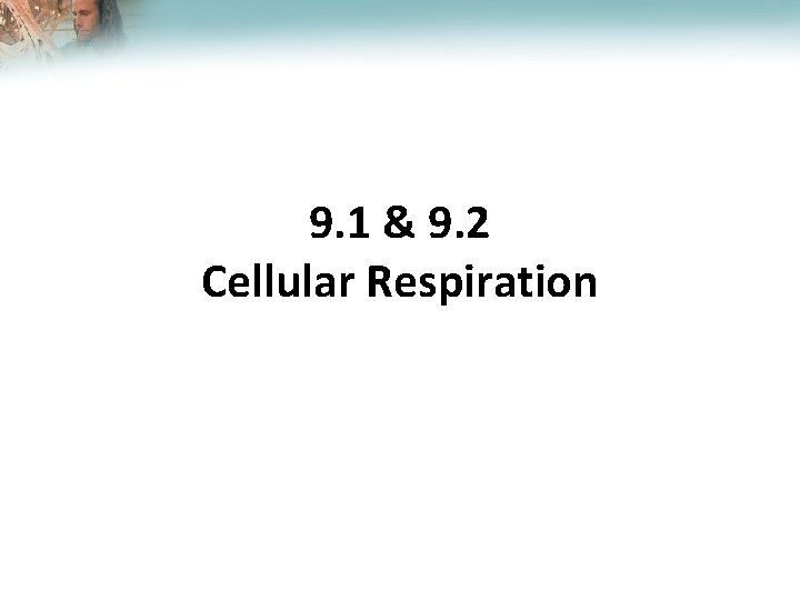 Lesson Overview Cellular Respiration: An Overview 9. 1 & 9. 2 Cellular Respiration 