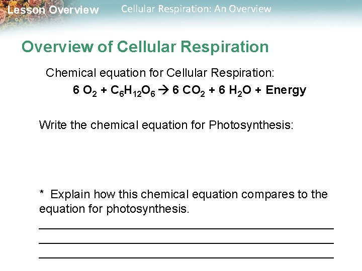 Lesson Overview Cellular Respiration: An Overview of Cellular Respiration Chemical equation for Cellular Respiration: