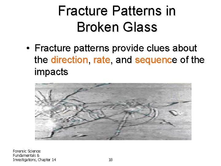 Fracture Patterns in Broken Glass • Fracture patterns provide clues about the direction, rate,