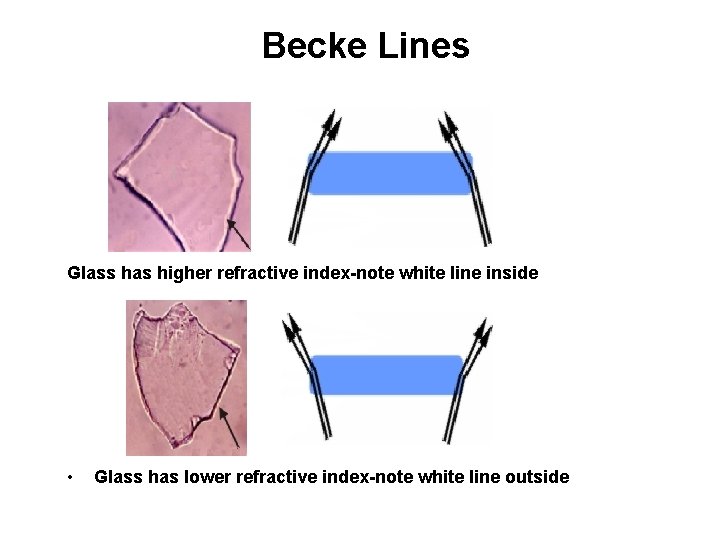 Becke Lines Glass has higher refractive index-note white line inside • Glass has lower