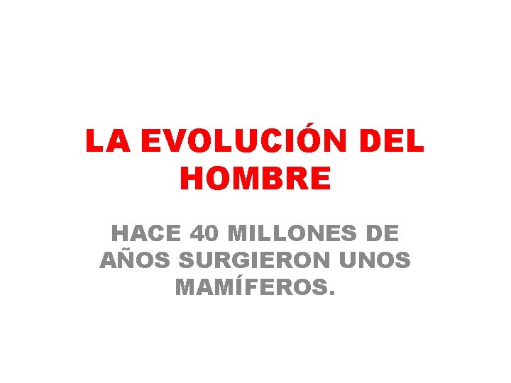 LA EVOLUCIÓN DEL HOMBRE HACE 40 MILLONES DE AÑOS SURGIERON UNOS MAMÍFEROS. 