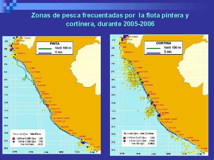 Zonas de pesca frecuentadas por la flota pintera y cortinera, durante 2005 -2006 