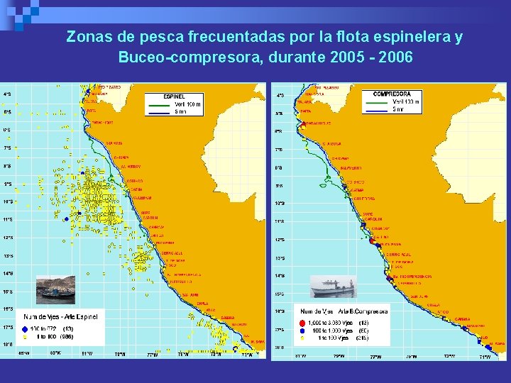 Zonas de pesca frecuentadas por la flota espinelera y Buceo-compresora, durante 2005 - 2006