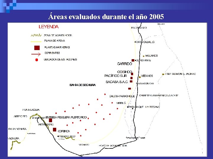 Áreas evaluados durante el año 2005 