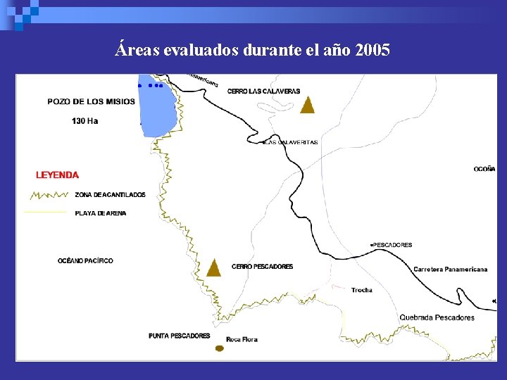 Áreas evaluados durante el año 2005 
