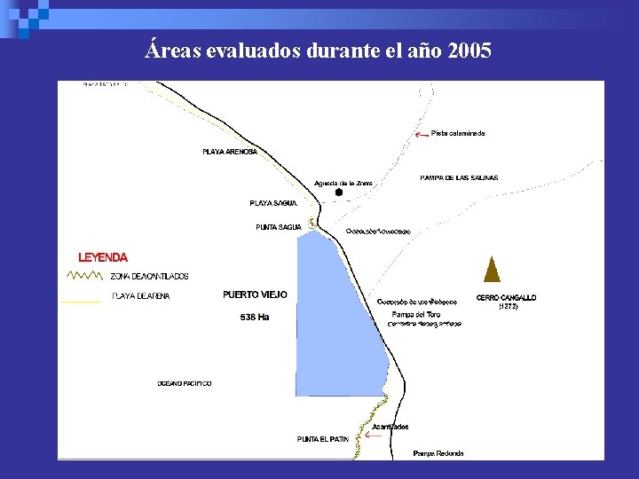 Áreas evaluados durante el año 2005 