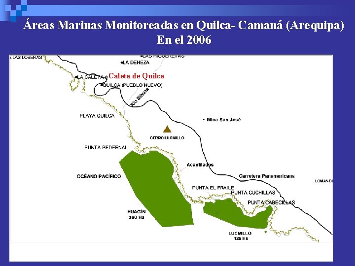 Áreas Marinas Monitoreadas en Quilca- Camaná (Arequipa) En el 2006 Caleta de Quilca 