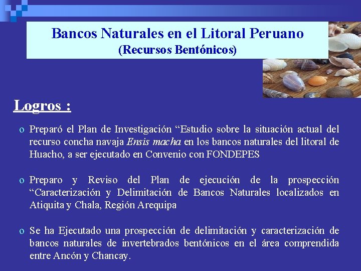 Bancos Naturales en el Litoral Peruano (Recursos Bentónicos) Logros : o Preparó el Plan