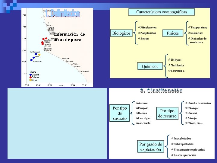 Información de áreas de pesca 