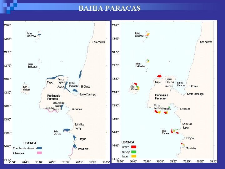 BAHIA PARACAS 