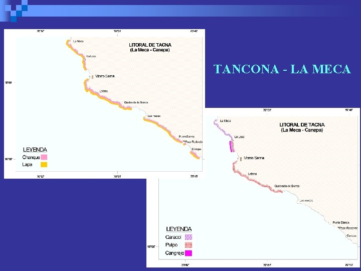 TANCONA - LA MECA 