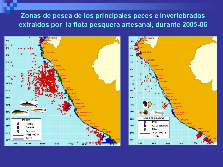 Zonas de pesca de los principales peces e invertebrados extraídos por la flota pesquera