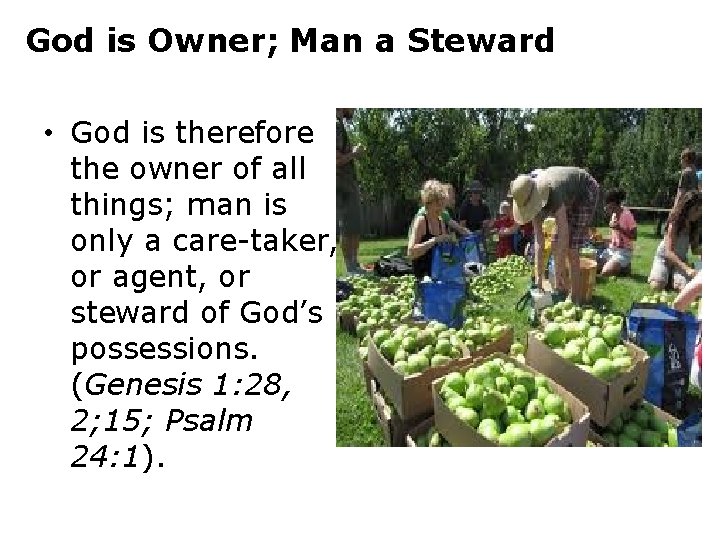 God is Owner; Man a Steward • God is therefore the owner of all