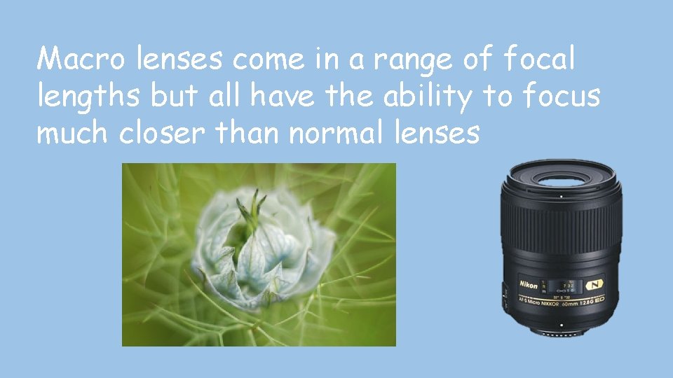 Macro lenses come in a range of focal lengths but all have the ability