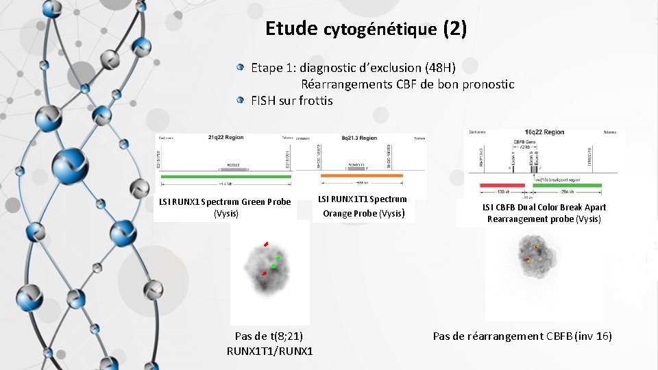 Etude cytogénétique (2) Etape 1: diagnostic d’exclusion (48 H) Réarrangements CBF de bon pronostic