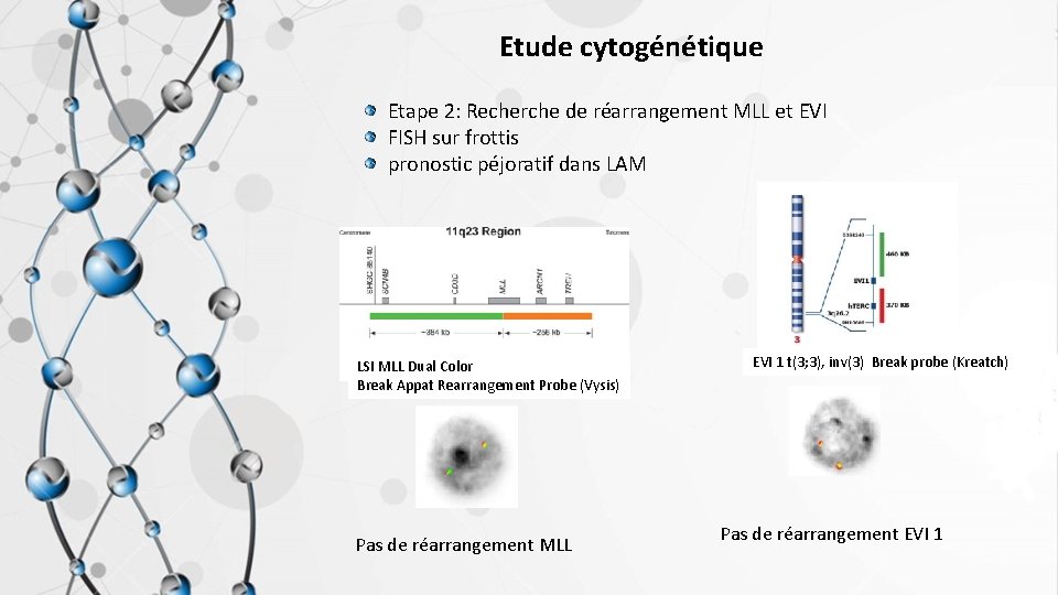 Etude cytogénétique Etape 2: Recherche de réarrangement MLL et EVI FISH sur frottis pronostic