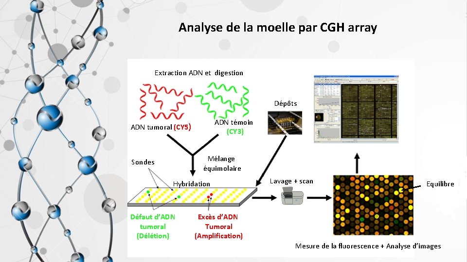 Analyse de la moelle par CGH array Extraction ADN et digestion Dépôts ADN témoin