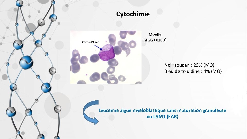 Cytochimie Moelle MGG (X 100) Noir soudan : 25% (MO) Bleu de toluidine :