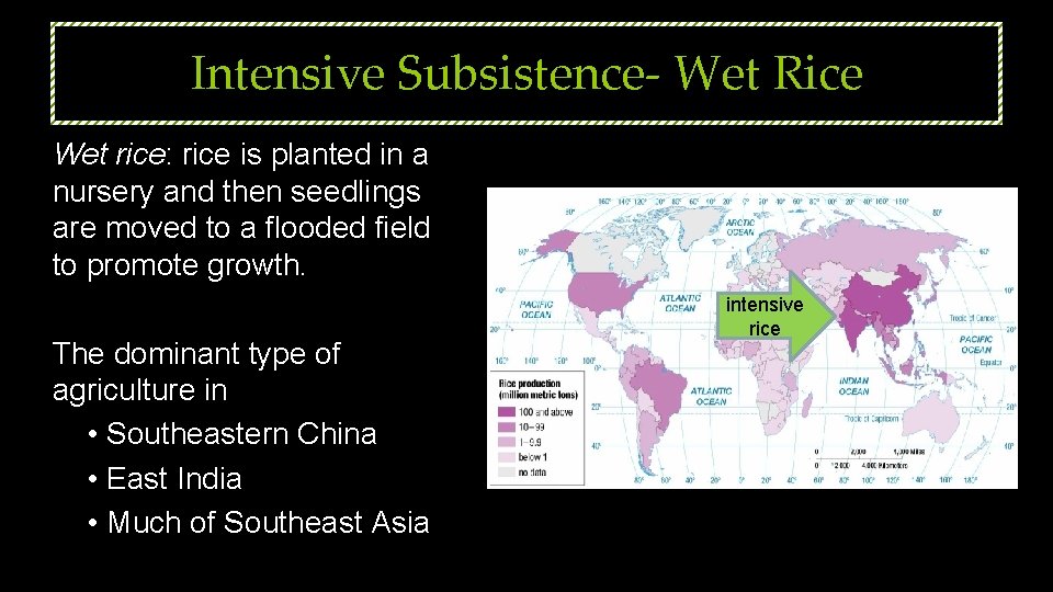 Intensive Subsistence- Wet Rice Wet rice: rice is planted in a nursery and then