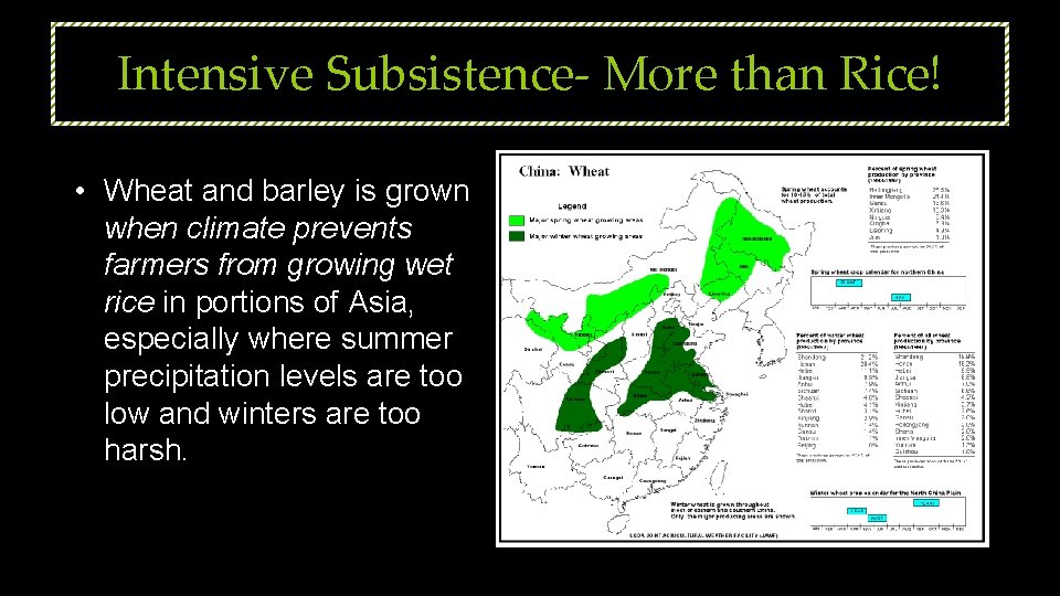 Intensive Subsistence- More than Rice! • Wheat and barley is grown when climate prevents