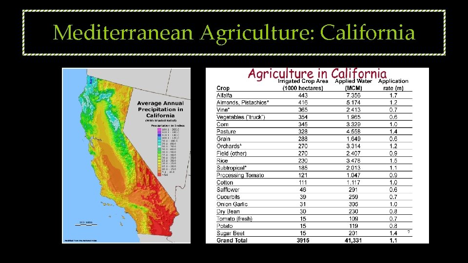 Mediterranean Agriculture: California 