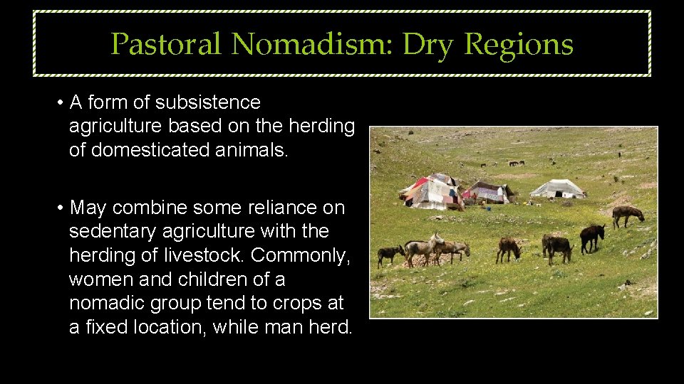 Pastoral Nomadism: Dry Regions • A form of subsistence agriculture based on the herding