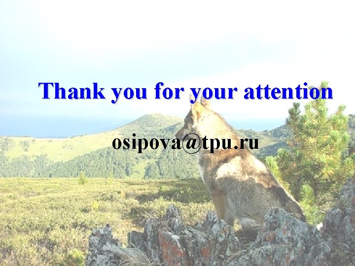 Thank you for your attention osipova@tpu. ru Thank you for your attention osipova@tpu. ru