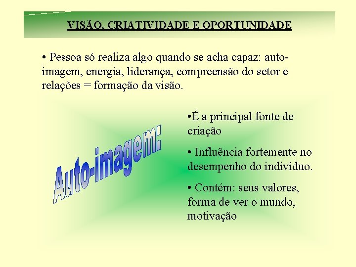 VISÃO, CRIATIVIDADE E OPORTUNIDADE • Pessoa só realiza algo quando se acha capaz: autoimagem,