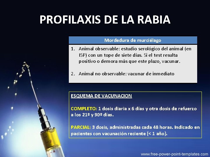 PROFILAXIS DE LA RABIA Mordedura de murciélago 1. Animal observable: estudio serológico del animal