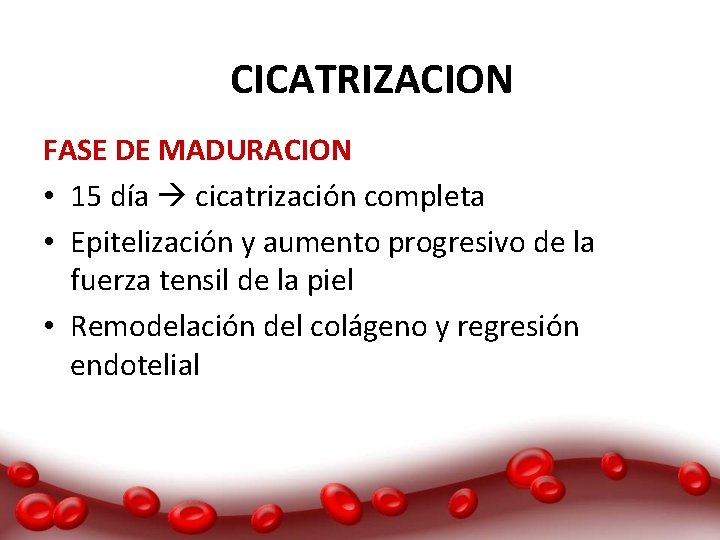 CICATRIZACION FASE DE MADURACION • 15 día cicatrización completa • Epitelización y aumento progresivo