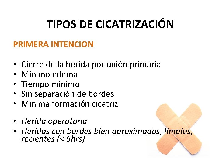 TIPOS DE CICATRIZACIÓN PRIMERA INTENCION • • • Cierre de la herida por unión