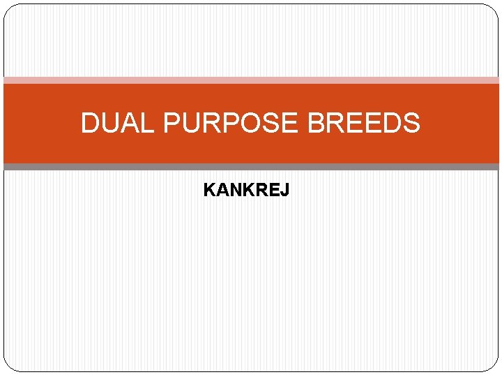 DUAL PURPOSE BREEDS KANKREJ 