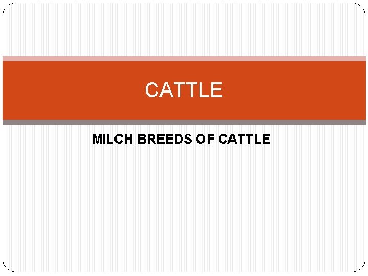 CATTLE MILCH BREEDS OF CATTLE 