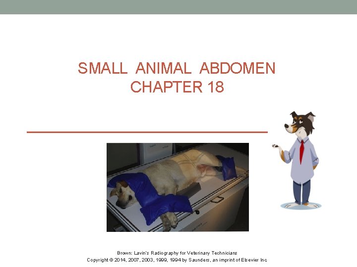 SMALL ANIMAL ABDOMEN CHAPTER 18 Brown: Lavin’s Radiography for Veterinary Technicians Copyright © 2014,