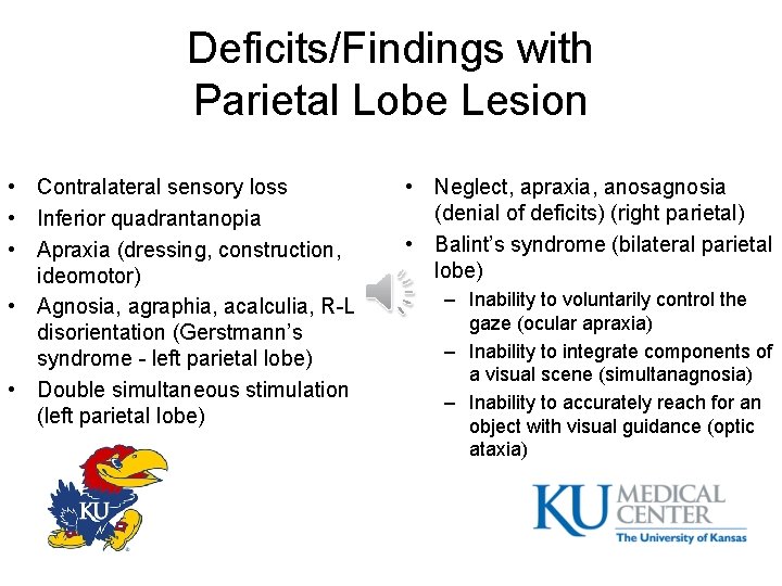 Deficits/Findings with Parietal Lobe Lesion • Contralateral sensory loss • Inferior quadrantanopia • Apraxia