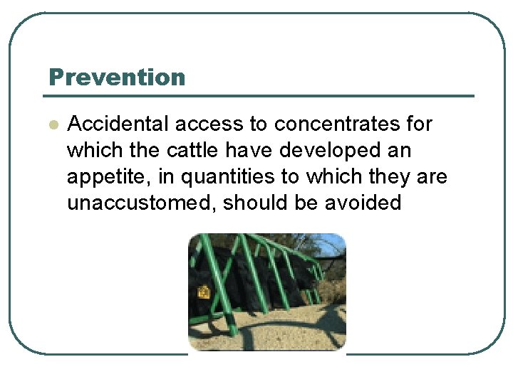 Prevention l Accidental access to concentrates for which the cattle have developed an appetite, Prevention l Accidental access to concentrates for which the cattle have developed an appetite,