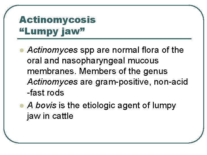 Actinomycosis “Lumpy jaw” l l Actinomyces spp are normal flora of the oral and Actinomycosis “Lumpy jaw” l l Actinomyces spp are normal flora of the oral and