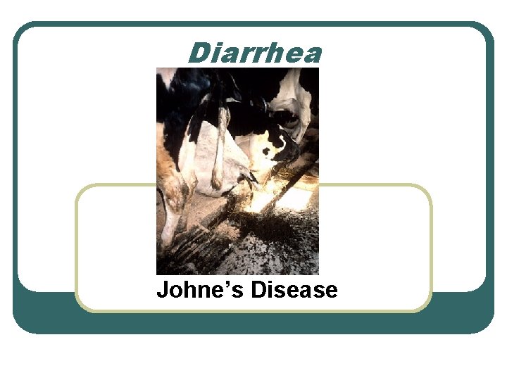 Diarrhea Johne’s Disease Diarrhea Johne’s Disease