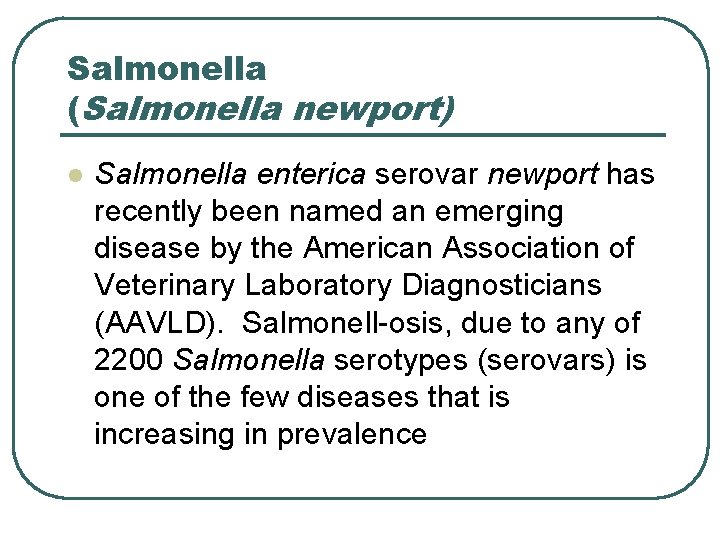 Salmonella (Salmonella newport) l Salmonella enterica serovar newport has recently been named an emerging Salmonella (Salmonella newport) l Salmonella enterica serovar newport has recently been named an emerging