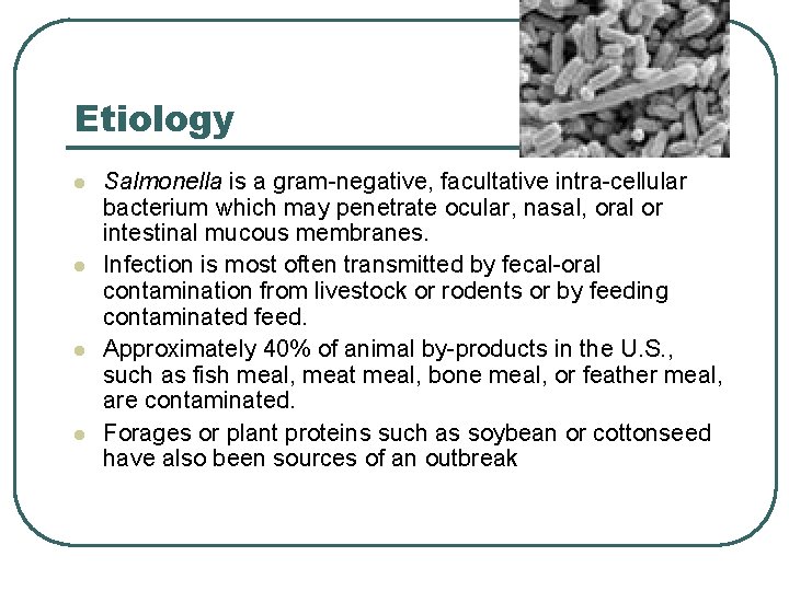Etiology l l Salmonella is a gram-negative, facultative intra-cellular bacterium which may penetrate ocular, Etiology l l Salmonella is a gram-negative, facultative intra-cellular bacterium which may penetrate ocular,