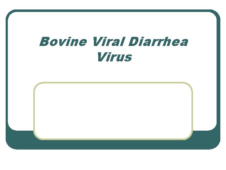 Bovine Viral Diarrhea Virus Bovine Viral Diarrhea Virus
