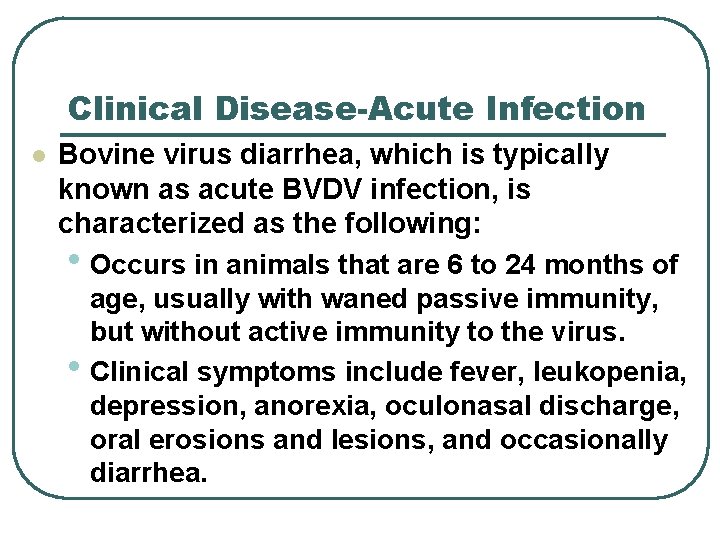 Clinical Disease-Acute Infection l Bovine virus diarrhea, which is typically known as acute BVDV Clinical Disease-Acute Infection l Bovine virus diarrhea, which is typically known as acute BVDV