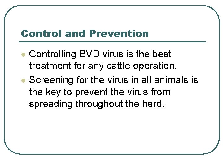 Control and Prevention l l Controlling BVD virus is the best treatment for any Control and Prevention l l Controlling BVD virus is the best treatment for any