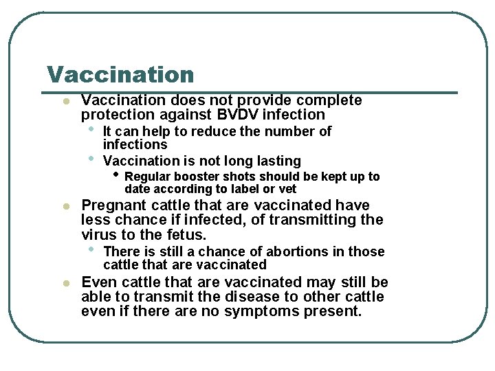 Vaccination l Vaccination does not provide complete protection against BVDV infection • • l Vaccination l Vaccination does not provide complete protection against BVDV infection • • l