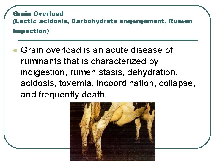 Grain Overload (Lactic acidosis, Carbohydrate engorgement, Rumen impaction) l Grain overload is an acute Grain Overload (Lactic acidosis, Carbohydrate engorgement, Rumen impaction) l Grain overload is an acute