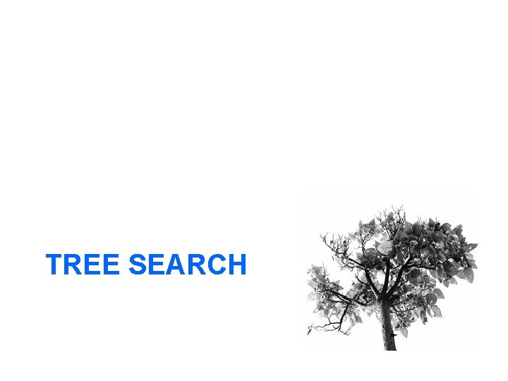 TREE SEARCH 