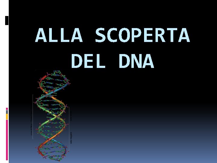 ALLA SCOPERTA DEL DNA ALLA SCOPERTA DEL DNA