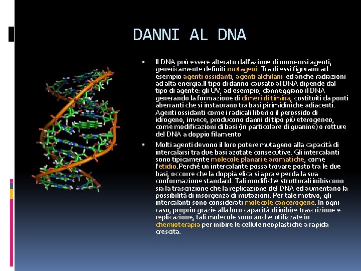DANNI AL DNA Il DNA può essere alterato dall'azione di numerosi agenti, genericamente definiti DANNI AL DNA Il DNA può essere alterato dall'azione di numerosi agenti, genericamente definiti