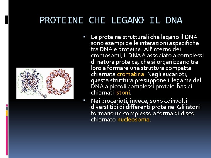 PROTEINE CHE LEGANO IL DNA Le proteine strutturali che legano il DNA sono esempi PROTEINE CHE LEGANO IL DNA Le proteine strutturali che legano il DNA sono esempi